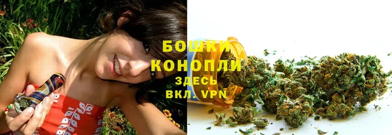 МАРИХУАНА индика  где купить наркоту  Волхов 